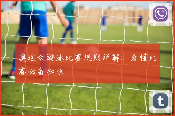 奥运会游泳比赛规则详解:看懂比赛必备知识