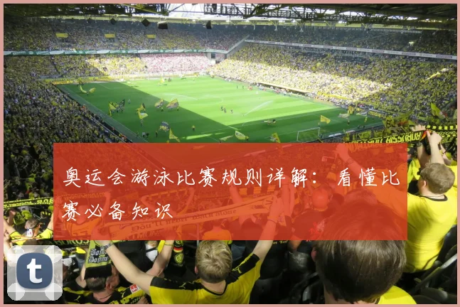 奥运会游泳比赛规则详解：看懂比赛必备知识